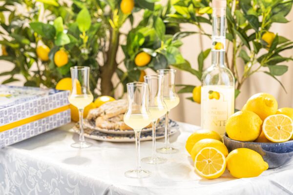 matrie Limoncello Shot Glasses – Set of 4 Elegant Mini Liqueur Glasses - Image 9