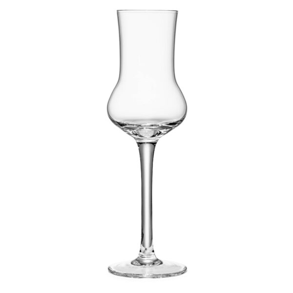matrie Limoncello Shot Glasses – Set of 4 Elegant Mini Liqueur Glasses - Image 2
